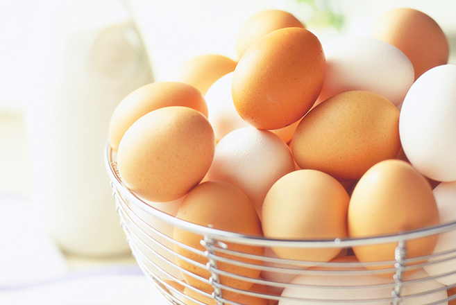 Huevos frescos o viejos – Canoil